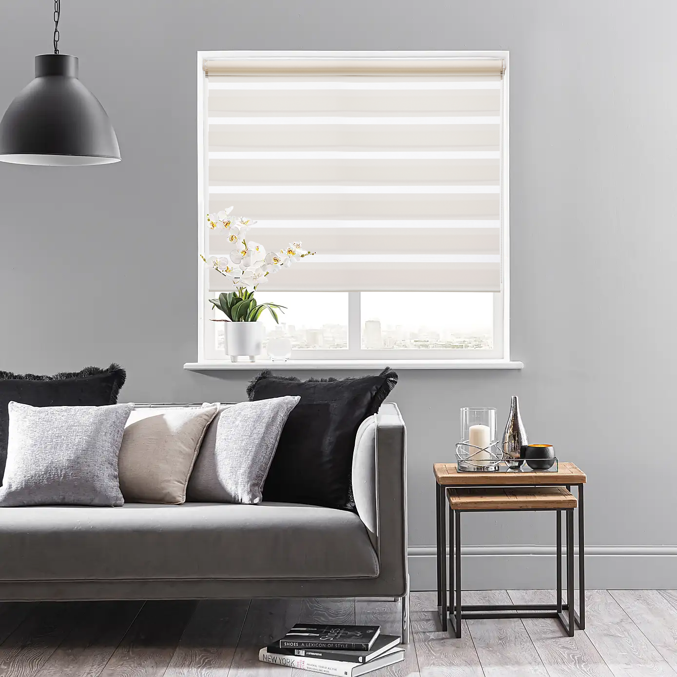 Zebra Blinds Day&Night Light Filtering