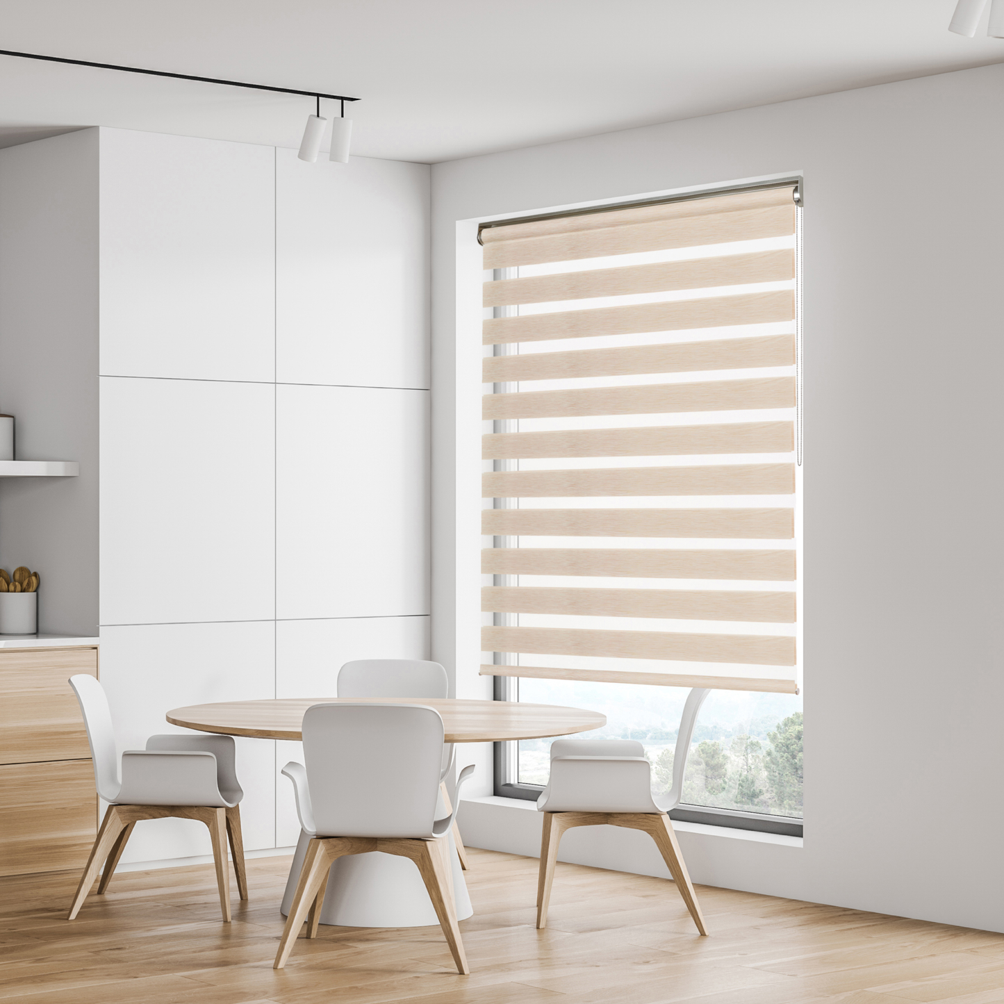 Zebra Blinds Dual Layer Light Filtering